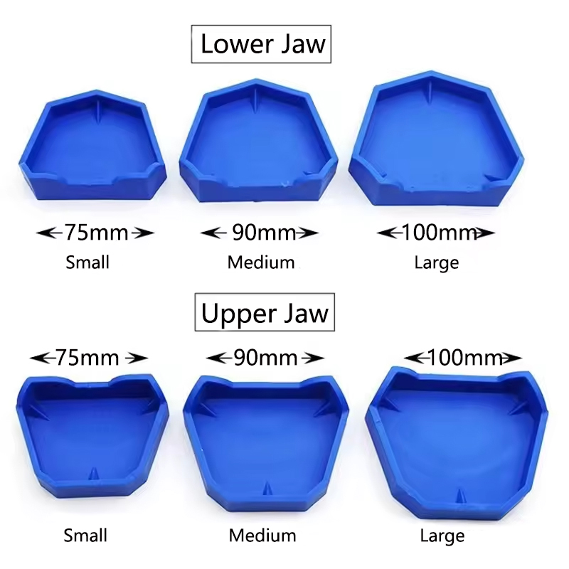 2/6Pcs Dental Model Base Silic - Teeth Whitening Trays review and price