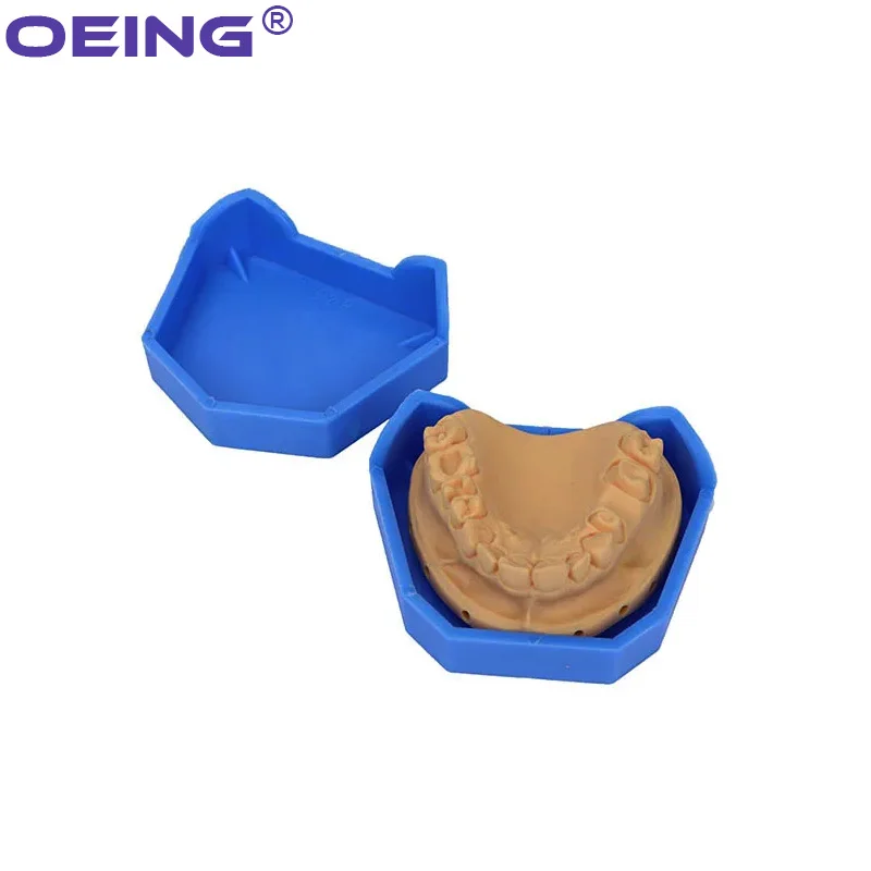2/6Pcs Dental Model Base Silic - Teeth Whitening Trays review and price