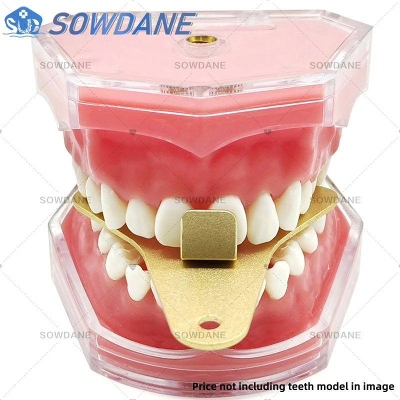 Dental Lab Impression Trays to - Teeth Whitening Trays review and price